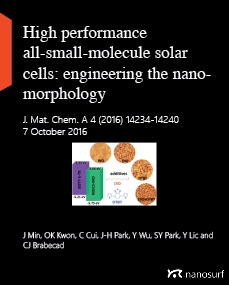 High performance all-small-molecule solar cells: engineering the nanomorphology via processing additives